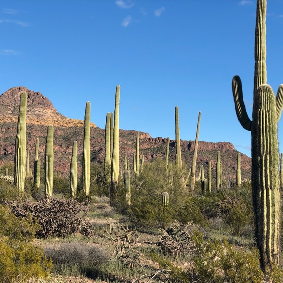 Meet your Posher, Kelsi - Picture 1 of 1